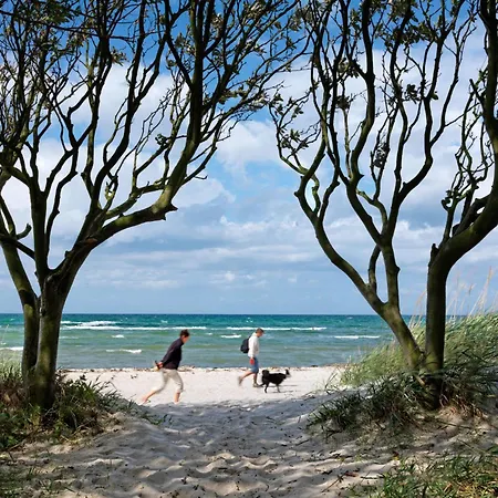 Gollwitzer Park Oase * Insel Poel